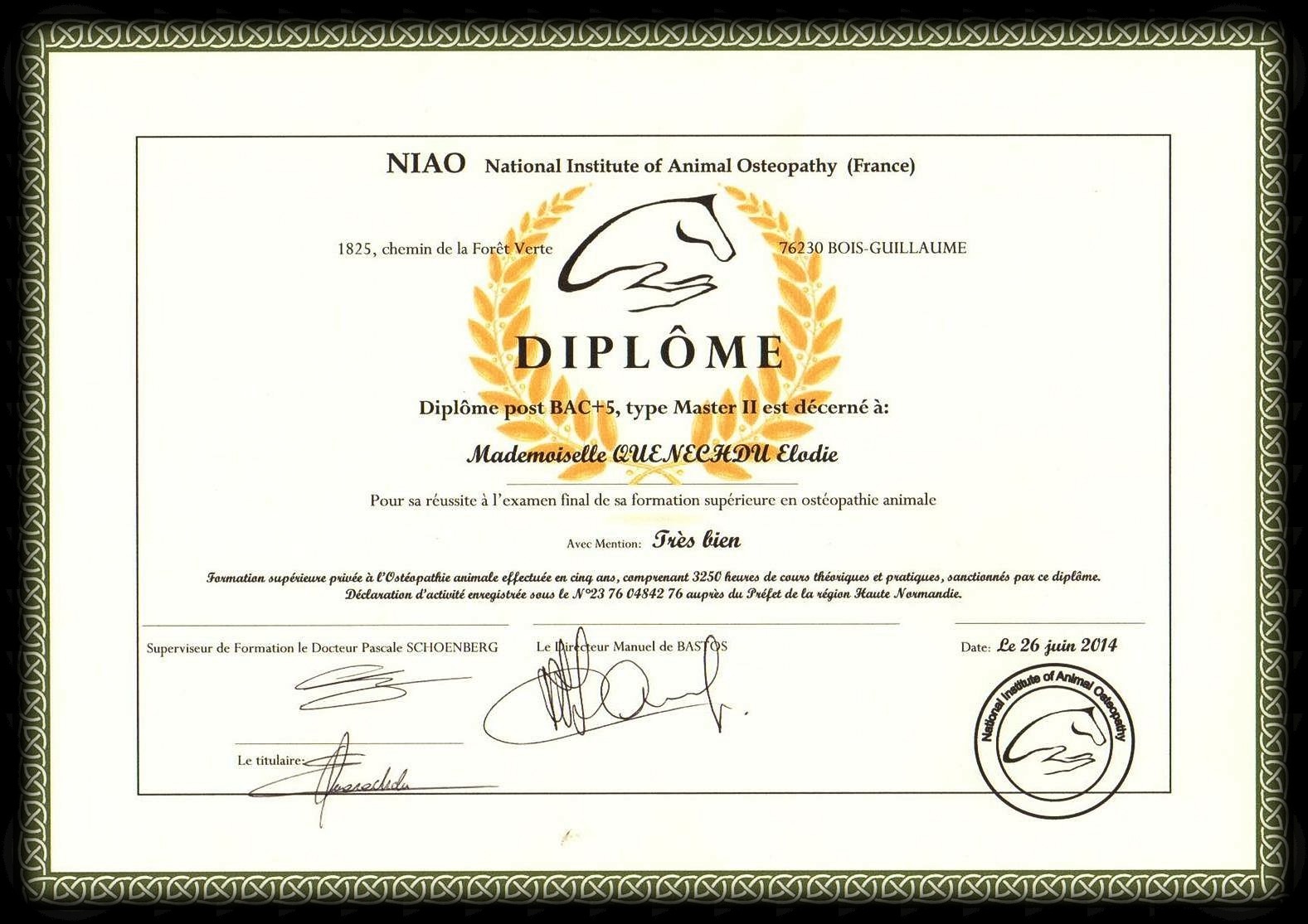 diplome 5